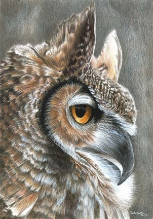 Framed Sepia Owl Print