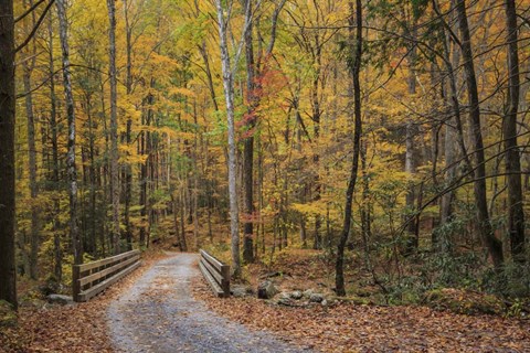 Framed Greenbrier Bridge Path Print