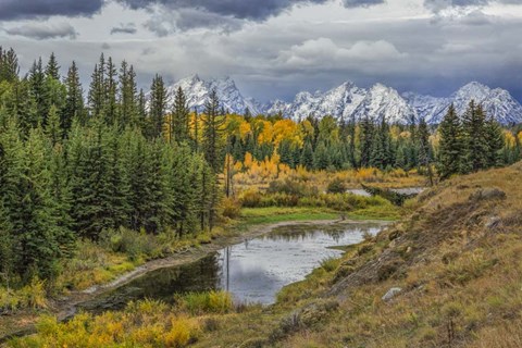 Framed Gtnp Fall Color With Mountains Print