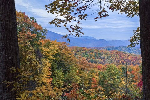 Framed Window To The Smoky Mountains Print