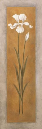 Framed Tall White Iris Print