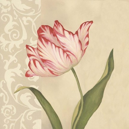 Framed Cream Tulip Print