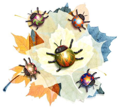 Framed Colorful Beetles on Leaf Pile Print