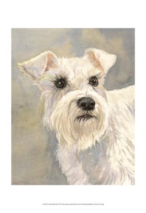 Framed Liesel Schnauzer Print