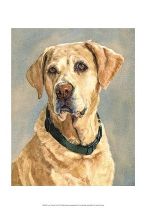 Framed Lucy Yellow Lab Print