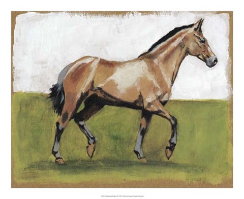 Framed Equestrian Studies III Print