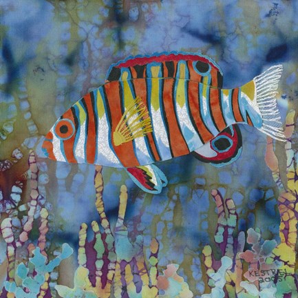 Framed Harlequin Tusk Fish Print