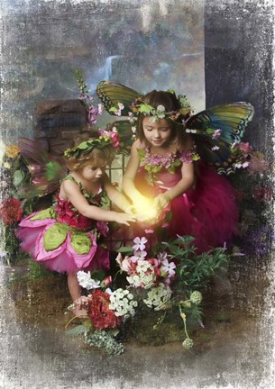 Framed Fairies Find the Light Print