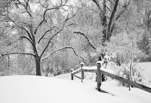 Framed Snowscape, Farmington Hills, Michigan 08 Print