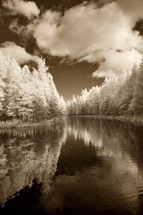 Framed Mirror Of Heaven, Palms Book State Park, Michigan 12 Print