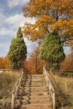 Framed Wooden Steps In Autumn, Marquette, Michigan 12 Print