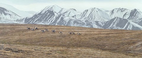 Framed Northern Skyline - Caribou Print