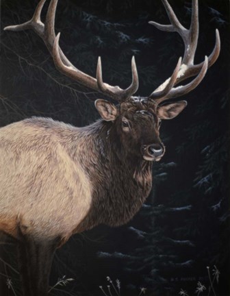 Framed Wapiti Portrait Print