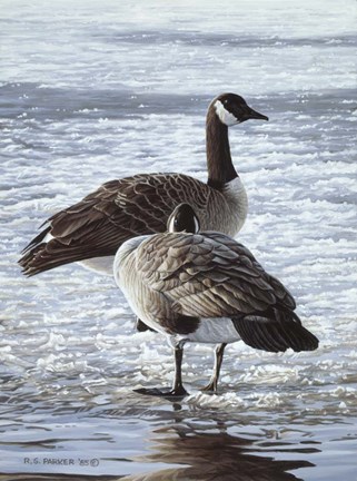 Framed Freeze Up- Canada Geese Print