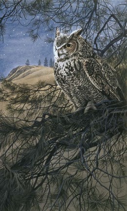 Framed Great Horned Owl 2 Print