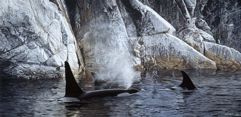 Framed Deep Water- Orcas Print