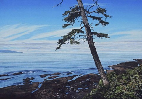 Framed Pacific Shore Print