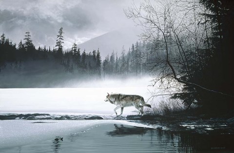 Framed Spring Mist - Gray Wolf Print