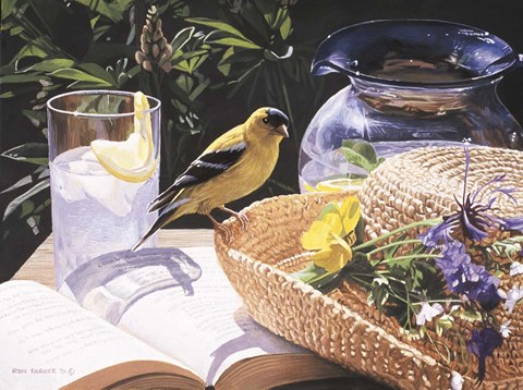 Framed Goldfinch On Straw Hat Print