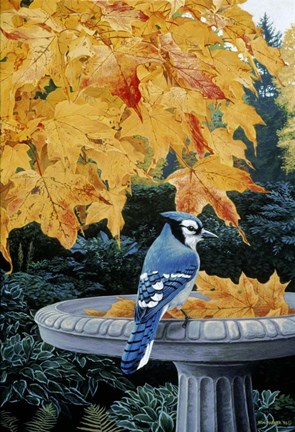 Framed Autumn Birdbath Print