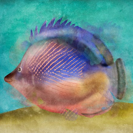 Framed Fish II Print