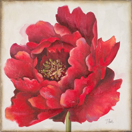 Framed Red Peony Print