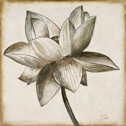 Framed Sepia Lotus I Print