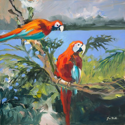 Framed Parrots at Bay II Print