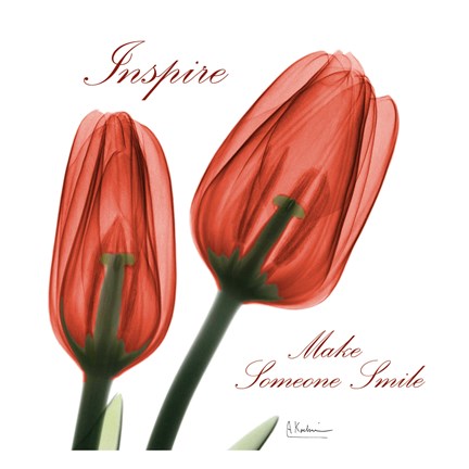 Framed Inspire Tulips Print