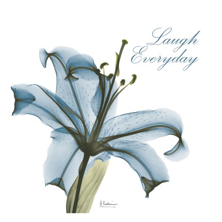 Framed Laugh Everday Lily A36 Print