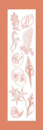 Framed Sealife Coral Matte Print