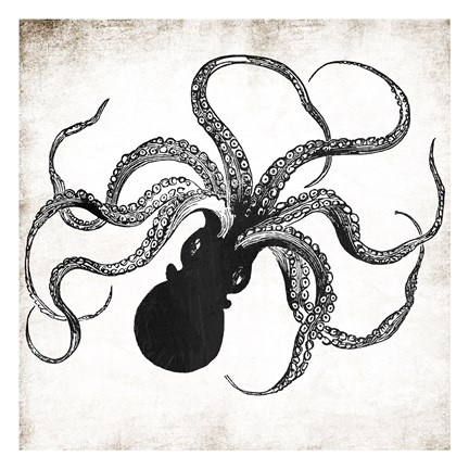 Framed Octopus Ink Print