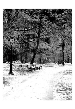 Central Park Snowy Scene 2 Artwork by Jeff Pica at FramedArt.com