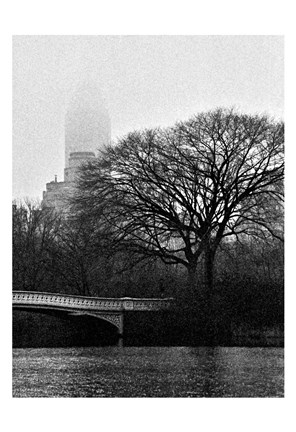 Framed Central Park Bridge I Print