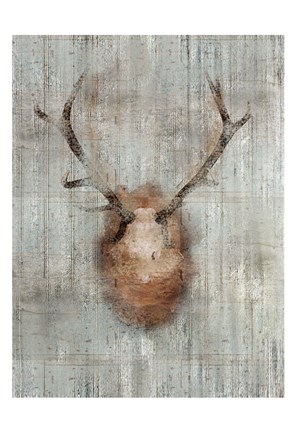 Framed Antlers 2 Print