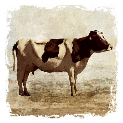 Framed Rustic Cow Print