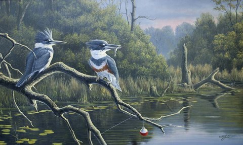 Framed Fisherman&#39;s Luck, Belted Kingfishers Print