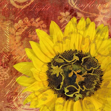 Framed Sunflower - Love of Light Print