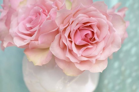 Framed Pink Rose Bouquet Print