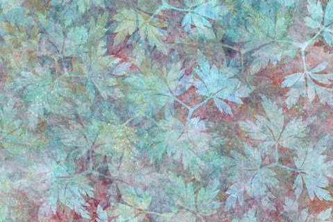Framed Leaves Carpet Aqua Print