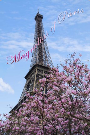 Framed Magnolias of Paris Print