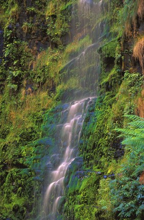 Framed Water fall on Green Print