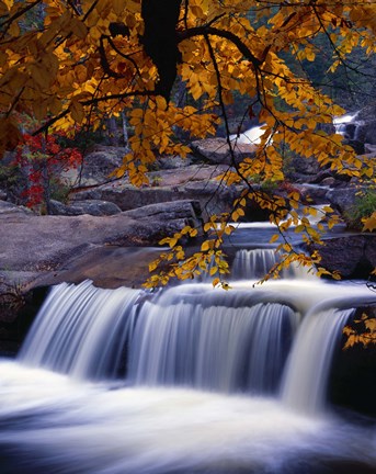 Framed Waterfall Over the Rocks in Fall Print