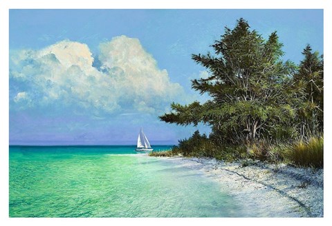 Framed Cayo Costa Beach Print