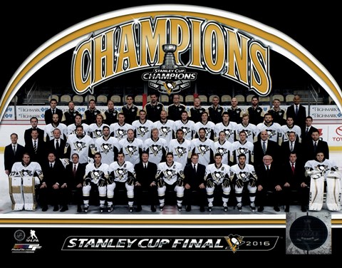 Framed Pittsburgh Penguins 2016 Stanley Cup Champions Team Sit Down Print