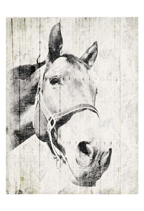 Framed Vintage Horse Print