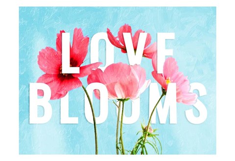 Framed Floral Bloom Print