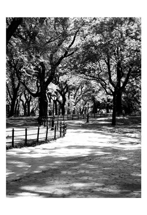 Framed Central Park Walk 2 Print