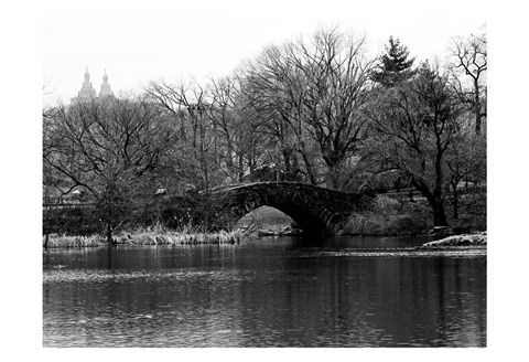 Framed Central Park Bridge 2 Print