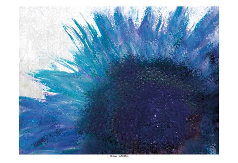 Framed Blooming Sunflower Print